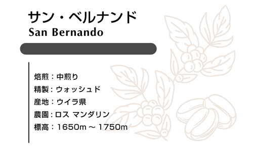 サン・ベルナンド　ウォシュド 100ｇ