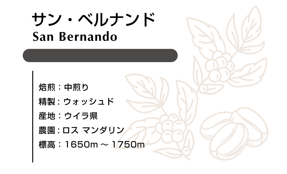 サン・ベルナンド　ウォシュド 100ｇ