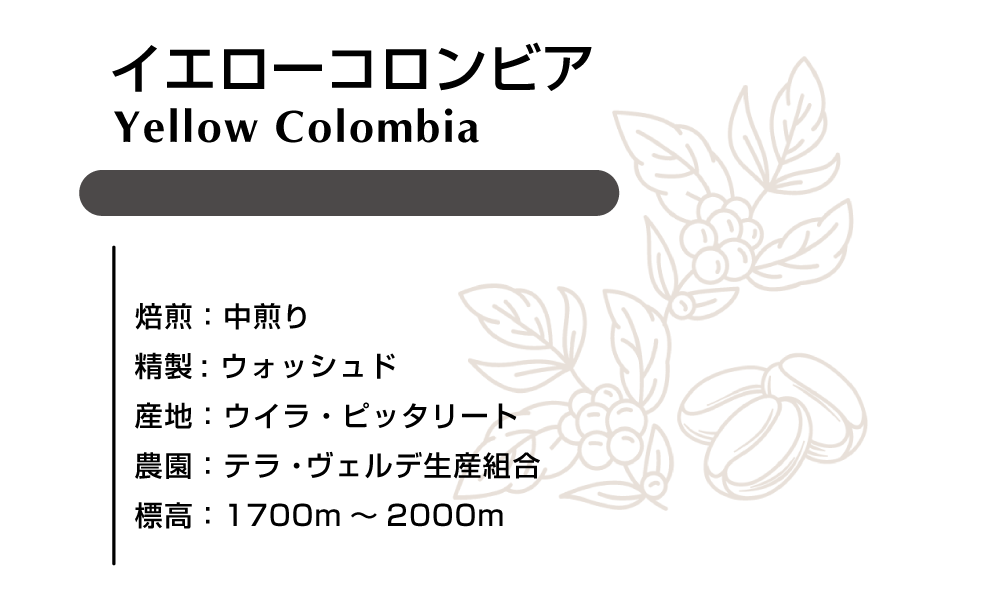 イエローコロンビア　ウォシュド 100ｇ