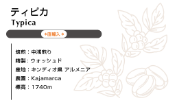 直輸入 ティピカ　ウォシュド 100g