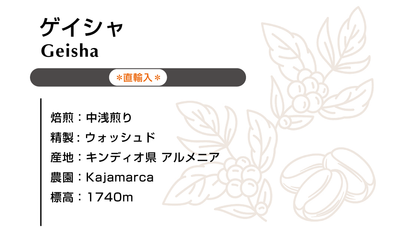 直輸入 ゲイシャ ウォシュド 100g