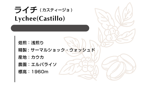ライチ(カスティージョ) 100g