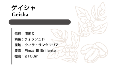 ゲイシャ ウォシュド 100g