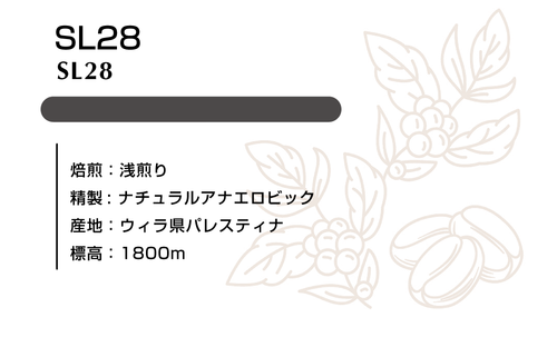 SL28 ナチュラルアナエロビック 100g