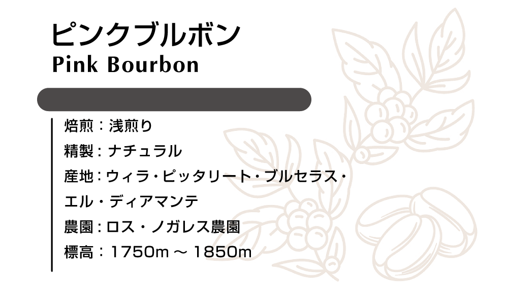 ピンクブルボン ナチュラル 100g