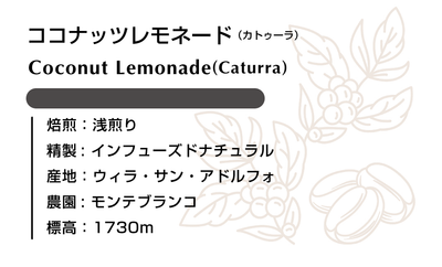 ココナッツレモネード(カトゥーラ) 100g