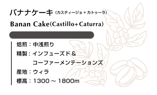 バナナケーキ(カスティージョ+カトゥーラ) 100g