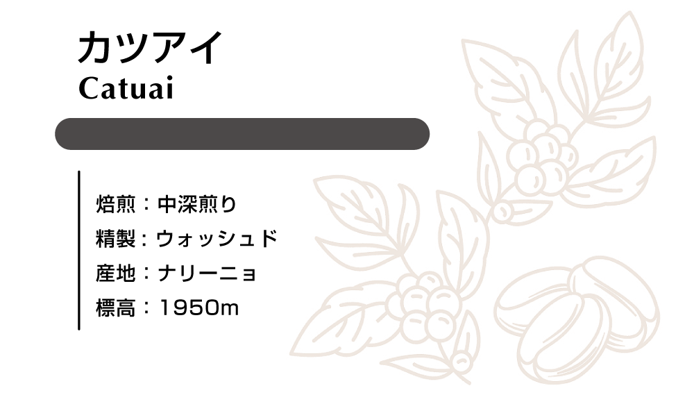 カツアイ　ウォシュド 100g