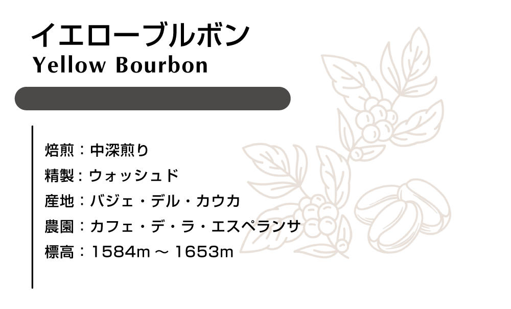 イエローブルボン　ウォシュド 100g